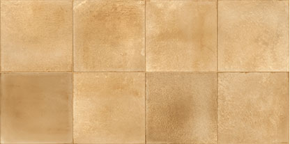 Clay_Mustard_macro